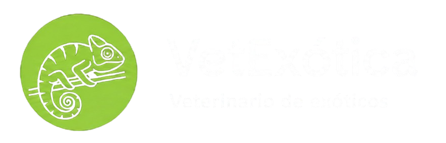 vetexoticosmadrid.com